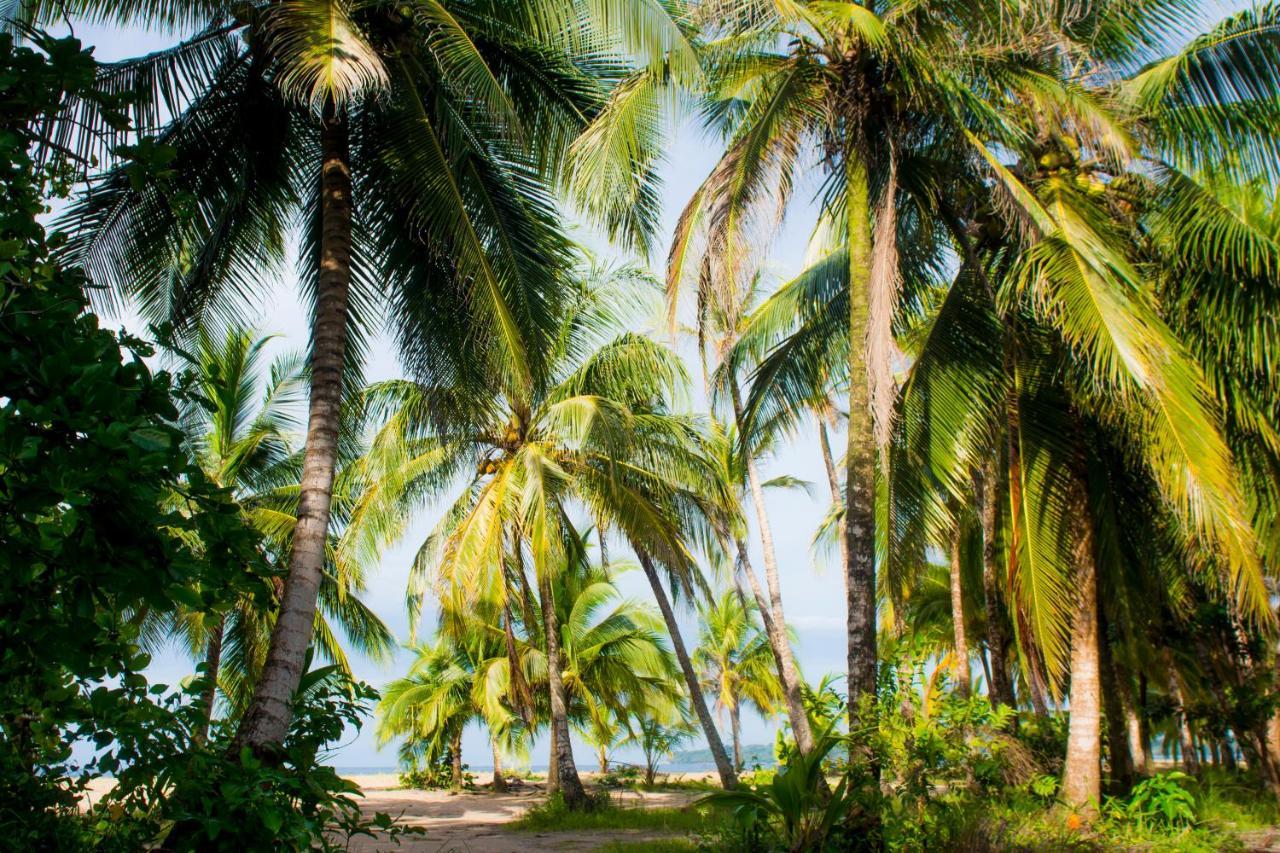 Hotel Sunshine Caribe Puerto Viejo de Talamanca エクステリア 写真