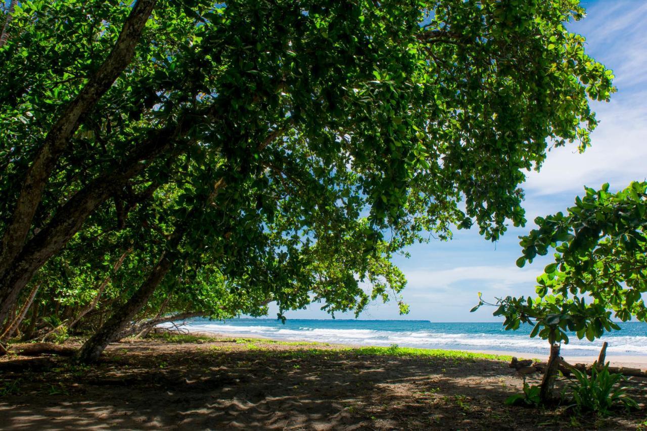 Hotel Sunshine Caribe Puerto Viejo de Talamanca エクステリア 写真