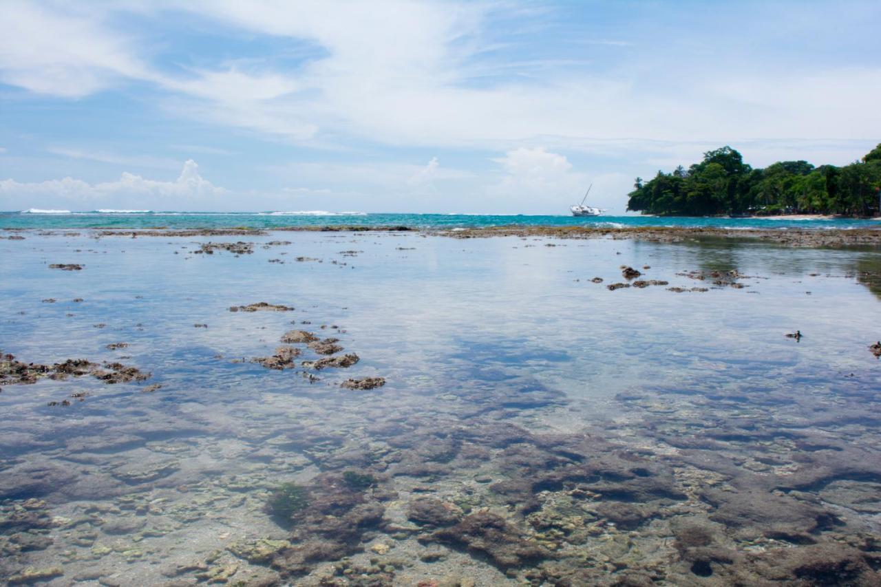 Hotel Sunshine Caribe Puerto Viejo de Talamanca エクステリア 写真