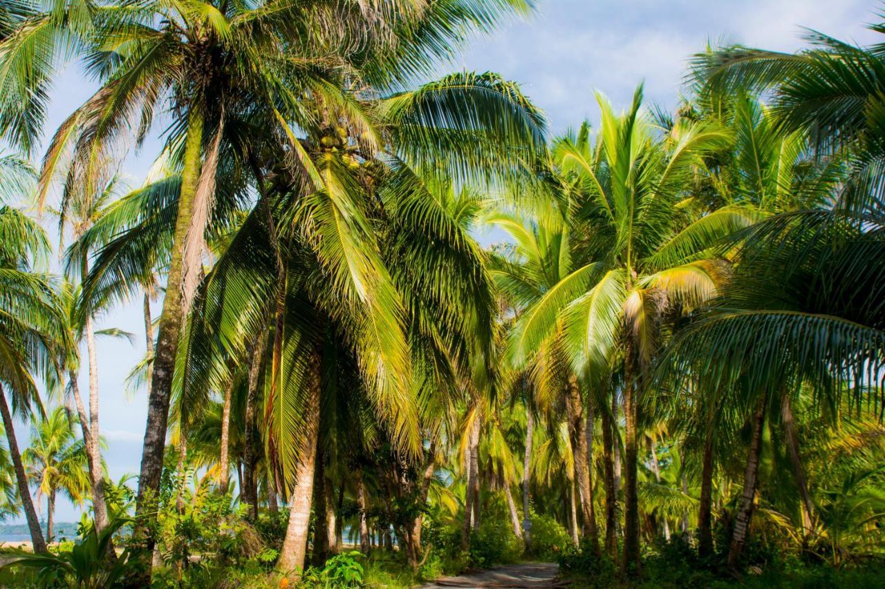 Hotel Sunshine Caribe Puerto Viejo de Talamanca エクステリア 写真