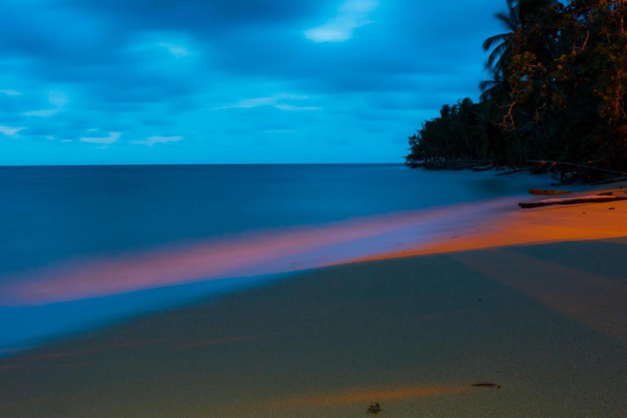Hotel Sunshine Caribe Puerto Viejo de Talamanca エクステリア 写真