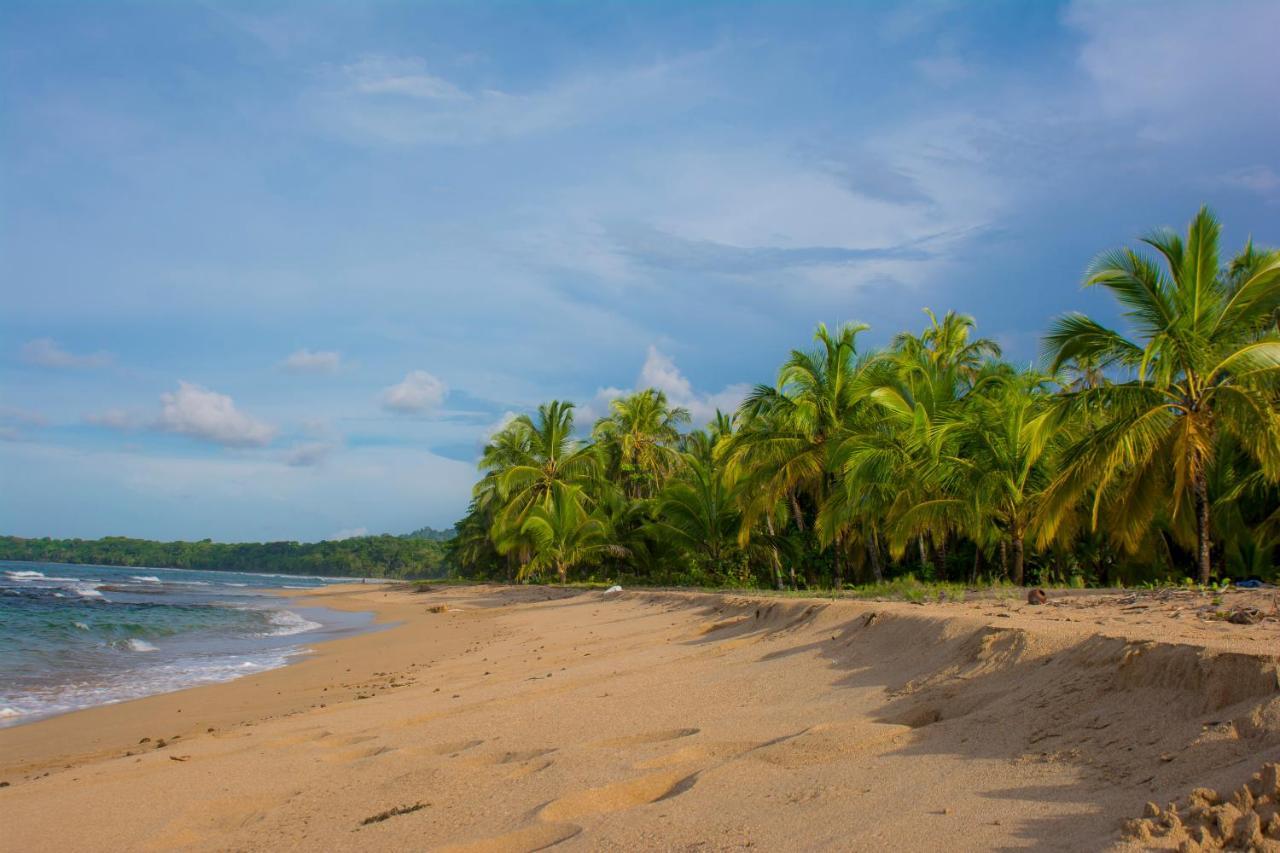 Hotel Sunshine Caribe Puerto Viejo de Talamanca エクステリア 写真