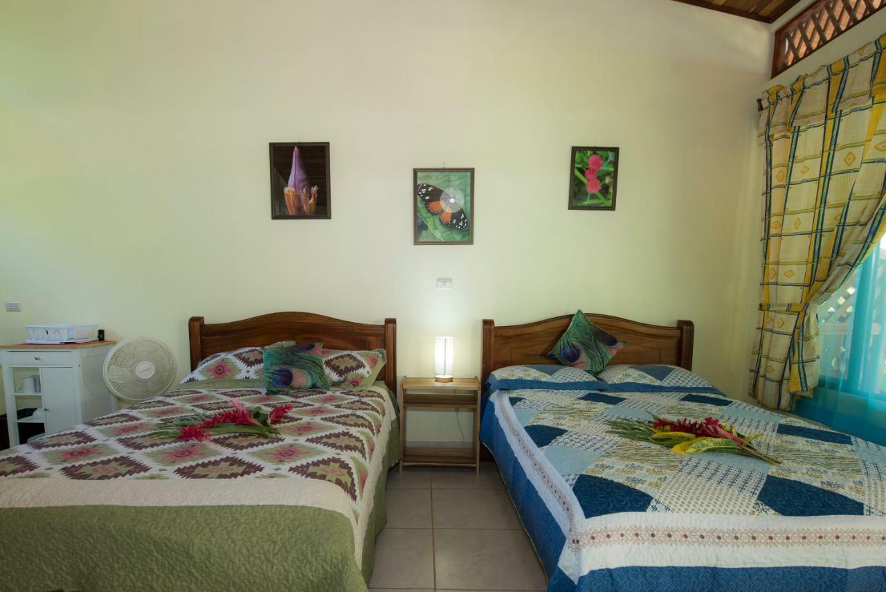 Hotel Sunshine Caribe Puerto Viejo de Talamanca エクステリア 写真